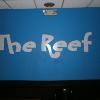 4-Play @The Reef 2-7-15